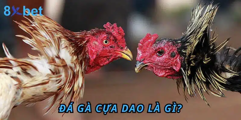 Đá Gà cựa dao là gì?